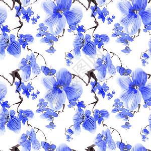 手绘蓝色兰花蓝色花瓣艺术品插图墨水花园植物墙纸繁荣手工手绘花序背景