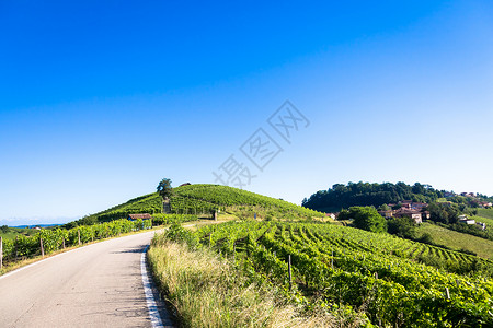 阿斯蒂意大利佩德蒙特山丘 风景优美的乡村 葡萄园田地和蓝天酒厂天空丘陵收成农村全景爬坡季节旅行农业背景