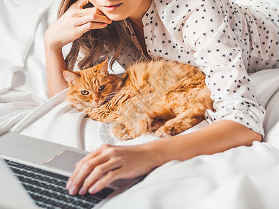 小欢喜电视剧可爱的姜猫和女人躺在床上 观看在线视频翻译或新电视剧的女性 在线交流 早上睡前与毛茸茸的宠物背景