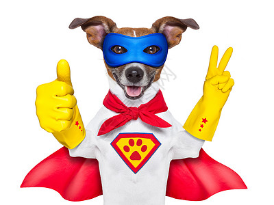 超级节省者超级英雄狗安全吉祥物帮助领导者动物拇指超级英雄漫画宠物猎犬背景