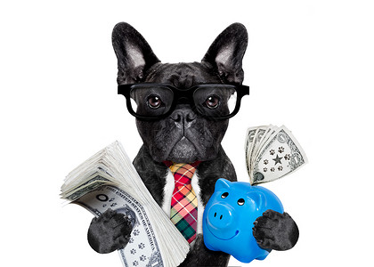 小狗钱钱养狗钱和小猪银行背景