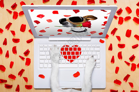 电脑花瓣印刷情人节日狗 在网上聊天约会键盘办公室互联网人士电子邮件假期蜜月纪念日忠诚秘书背景