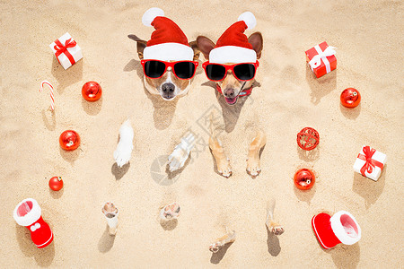 beac 的圣诞快乐狗狂欢节纪念日海滩飘带帽子靴子欢呼夫妻惊喜派对背景图片