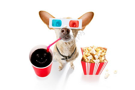 狗狗看电影剧院观众魅力星星相机可乐玉米杯子小吃小狗高清图片