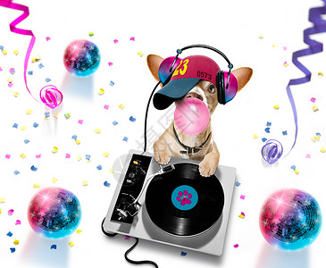 迪斯科转盘dj Disco舞蹈音乐俱乐部 派对晚会镜球俱乐部庆典舞蹈耳机动物房子录音机音乐音乐会打碟机背景