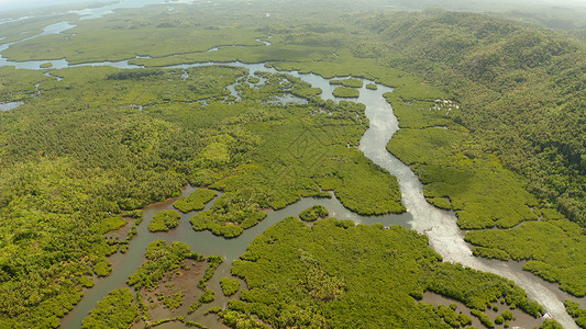 热带河红树林和河流的空中景象植物景观热带风景岛屿假期荒野鸟瞰图理念叶子背景