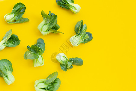 芸薹属黄色背景的Bok Choy树叶叶子食物美食芹菜蔬菜纤维芸苔营养植物背景