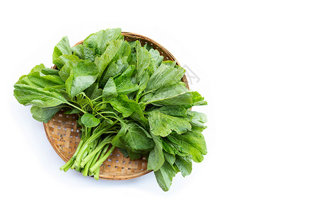 吃菠菜白色背景的绿色菠菜蔬菜产品饮食婴儿食物荒野沙拉热带叶子生产背景
