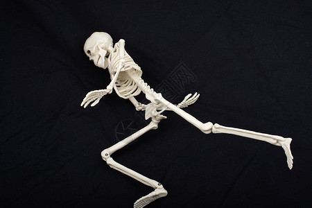 髋关节解剖学人类骨架模型 作为医学解剖科学的人体骨架模型诊所骨头骨干教育治疗髋关节大小药品教学颅骨背景