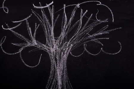 用粉笔在黑板上手绘树环境绿色白色卡片孩子们教育松树创造力梦幻草图背景图片