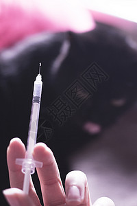含有胰岛素和黑猫本底助手检查医疗药品动物剂量疫苗宠物医院成人背景图片