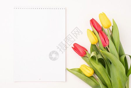 白色背景上彩色郁金花的空白日历顶视图打印嘲笑组织花朵笔记新年办公室郁金香时间商业背景图片