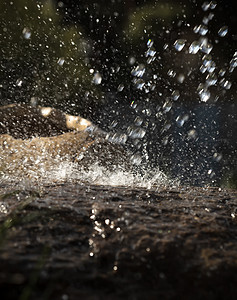 飞溅的石头雨水滴落到石头上雨滴花岗岩白色风暴飞溅季节棕色天气鹅卵石人行道背景
