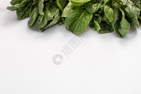 菠菜banner顶部白色背景的菠菜叶 Banner 字母背景