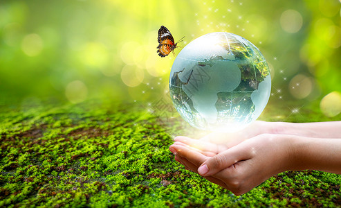 拿着镰刀地球一个拿着玻璃球的男人概念日地球拯救世界拯救环境世界在绿色散景背景的草丛中森林园艺孩子生物农业树叶叶子生态种子土壤背景
