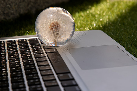 笔记本电脑键盘上玻璃镇纸中的花薄饼科目教育阳光网络全世界玻璃球桌面学习植物背景图片