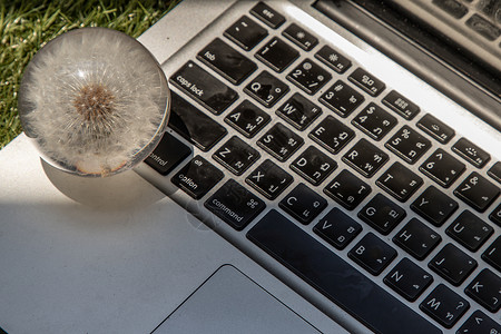 笔记本电脑键盘上玻璃镇纸中的花地球科目玻璃世界全世界植物玻璃球桌面网络薄饼背景图片