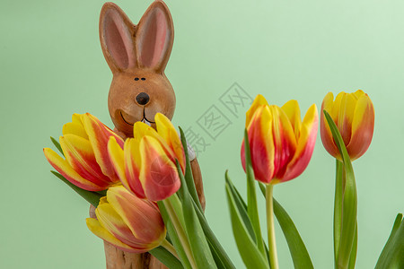复活节兔子和带黄色红色郁金香的花束绿色庆典季节淡绿色背景图片