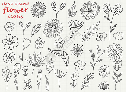 春天手绘背景上孤立的手绘花矢量设计插图草本植物风格婚礼装饰植物学叶子植物绘画涂鸦礼物背景