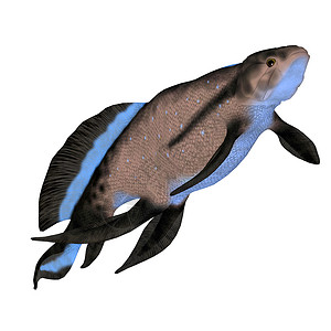 伤风鲑鱼头盆纪灭绝生活生物下巴动物古生代猎人海洋游泳背景