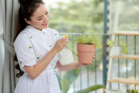 一名妇女正在给家里的植物浇水和喷药 家庭花园的概念 春天 照顾家庭植物背景图片