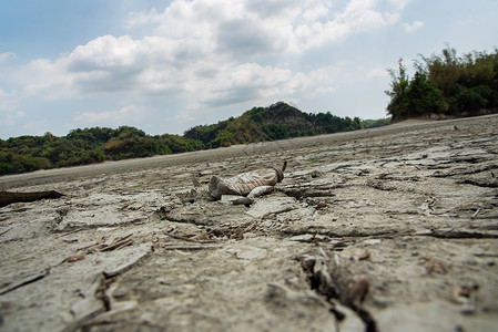 素材限制破解乌山头地面高清图片