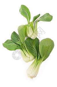 木瓜清焖青头鸭美丽的Bok Choy 中国卷心菜或清青cai 与自然阴影隔绝在白色上叶子美食油菜籽饮食食物沙拉农场农业油菜植物背景