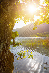 哈尔登湖夏天旅行高清图片