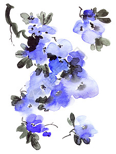 蓝色水彩花水彩花树插图艺术树叶艺术品花序植物花瓣手绘树苗墨水背景