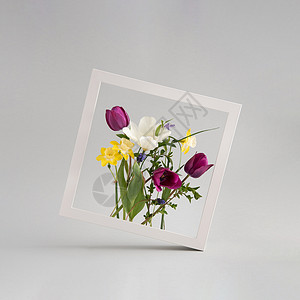 紫色装饰相框浅灰色背景下方形白色相框内布置的彩色花束背景