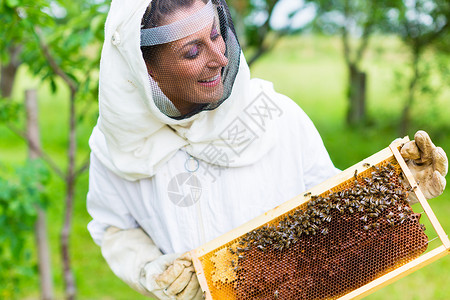 养蜂人控制蜜蜂场和蜜蜂蜂蜜女士养蜂业农场框架男人蜂巢蜂窝梳子蜂房背景图片