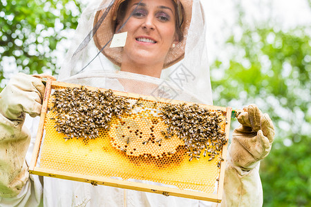 养蜂人控制蜜蜂场和蜜蜂农场果园梳子工作衣服蜂蜜职业蜂巢框架蜂房背景图片