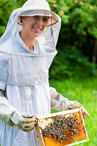 蜂蜜场养蜂人控制蜜蜂场和蜜蜂女性农业蜂窝农场蜂房蜂蜜帽子蜂巢手套院子背景