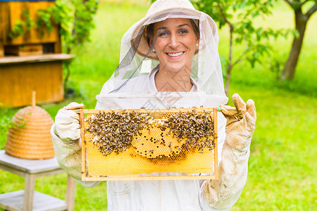 养蜂人控制蜜蜂场和蜜蜂框架养蜂业果园蜂房手套蜂窝农场农业蜂蜜职业背景图片
