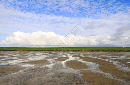 石勒苏益格泥滩自然的高清图片