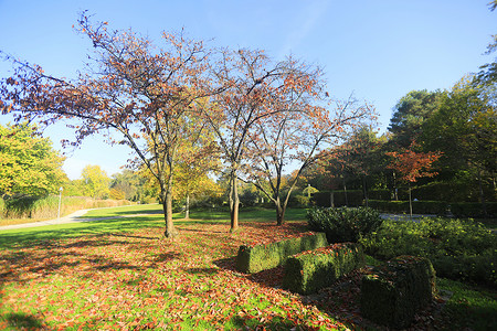 海尔布隆纳韦特维森公园秋天的季节高清图片