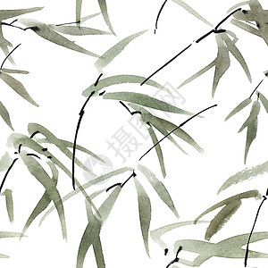 竹子水彩竹叶啪嗒啪嗒植物墙纸绘画沼泽白色丛林热带插图叶子树叶背景