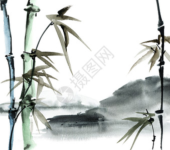 竹子水彩竹和山水彩插图艺术刷子沼泽热带植物叶子丛林树叶背景