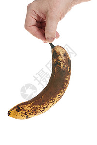 溃烂手持白背景的成熟香蕉 供设计师使用模板Name工作室腐烂食物饮食营养热带早餐衰变皮肤水果背景