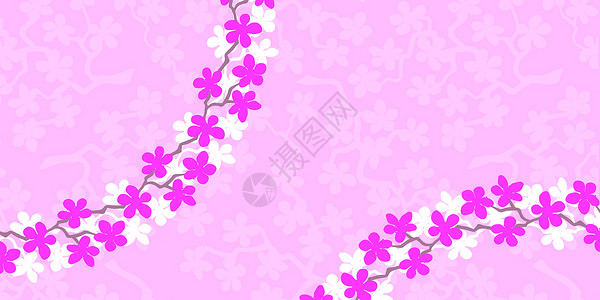 粉色樱花海报花朵横幅上有美丽的粉红白花花枝樱花 复制空间文字背景