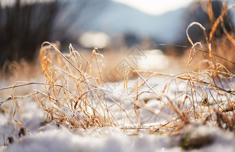 淡斑霜冷冻的橙色干草叶 靠近特写细节的雪斑 — 浅景深抽象照片说明深秋背景