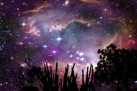 次元空间银河星系在山顶夜空的月光树上的星云小说吸引力宇宙轨道星系森林科学行星太阳系星星背景