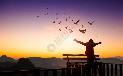 飞翔的鸟儿女孩在山顶和日落上举起手来 鸟儿在天空中飞翔 自由旅行冒险概念背景