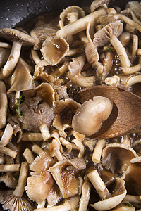 煮蘑菇木薯木头白色厨房美食棕色蔬菜营养食物高清图片