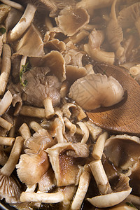 煮蘑菇木薯棕色蔬菜白色美食厨房营养木头食物高清图片