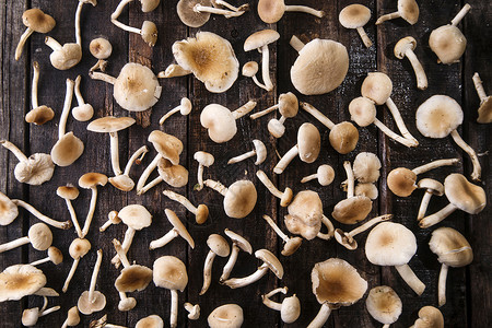 皮奥皮尼蘑菇厨房白色蔬菜木头棕色食物美食营养高清图片