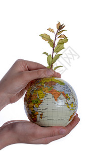 手握树木在球上种植世界教学行星绿色环境幼苗背景图片