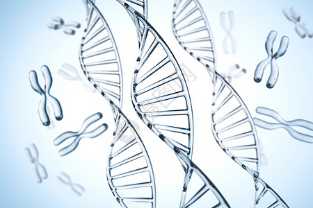 DNA元素抽象背景 带 X 染色体的 DNA 分子化学药品技术生物学生活细胞科学蓝色白色实验室背景