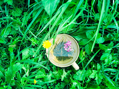 治愈荷花装饰画健康的草药茶和医用药草叶子荒野饮料玫瑰蜂蜜桌子植物治疗迷迭香休息背景