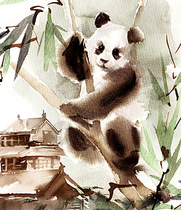 手绘熊猫课程表水彩熊熊动物白色熊猫插图黑色叶子桉树手绘建筑宝塔背景